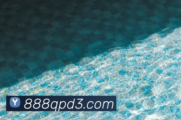 AI Risk Control